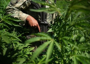 Meeting with a member of one of the most powerful criminal networks in the world