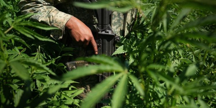 Meeting with a member of one of the most powerful criminal networks in the world