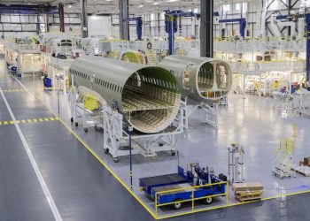 Rampaging raccoons add to Airbus factory headaches