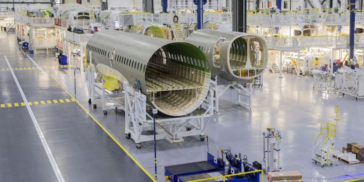 Rampaging raccoons add to Airbus factory headaches