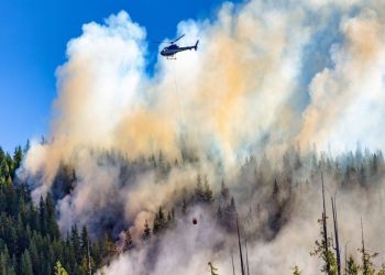 Wildfires Slash Canadian Oil Output by 7 Percent