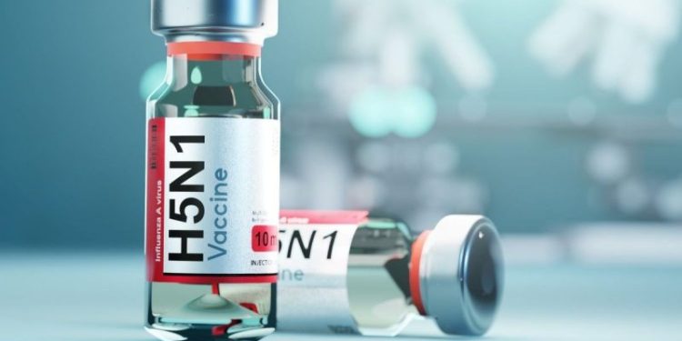 Bird Flu Vaccine Stocks: 8 Companies Developing H5N1 Vaccines