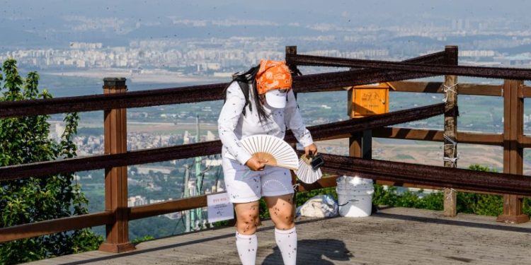 What is happening in South Korea? Seoul has caught the lovebug that nobody wants