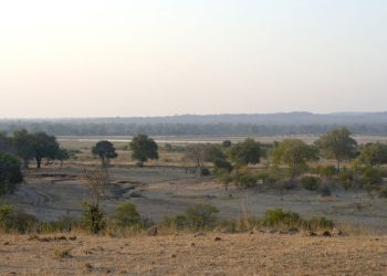 Elephant kills two female tourists from the UK and New Zealand in Zambian national park